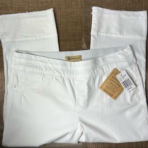 Democracy Ab Technology Optic White Pull on Glider Kick Flare Jeans